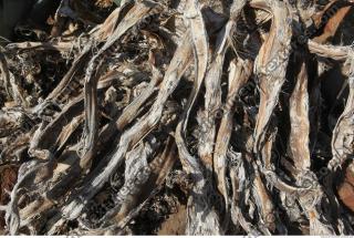 Photo of Mixed Textures